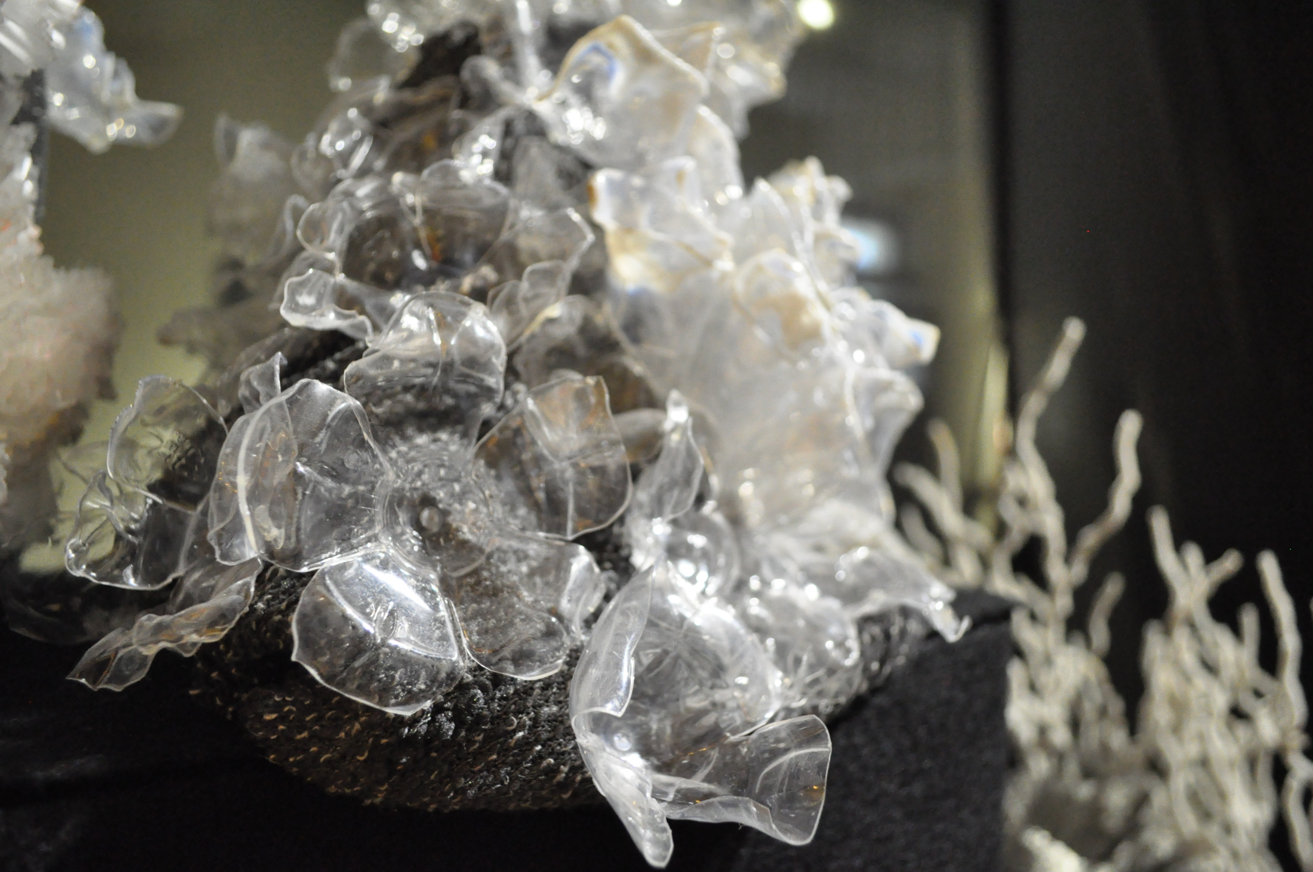 美麗的珊瑚是由回收的寶特瓶製做而成_新北市文化局 